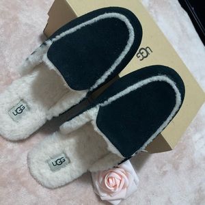 New UGG Lane Loafers in box